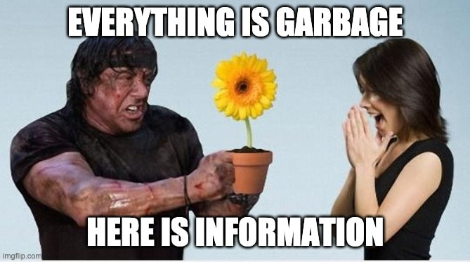 Meme featuring a grimy Rambo handing a surprised woman a beautiful potted sunflower. Text reads "everything is garbage, here is information."