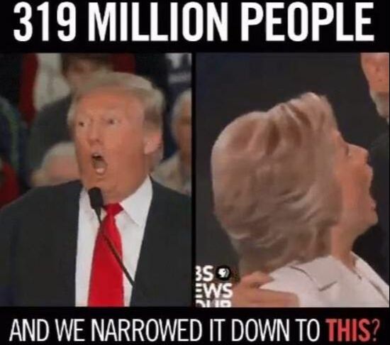 Meme. Central image: Trump and Clinton. Top text: 319 million people. Bottom text: And we narrowed it down to this.