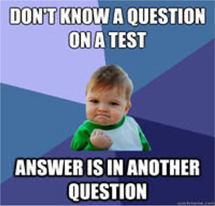 Success Kid meme featuring Sammy Griner as a baby making a fist and a determined face. Top text reads Don’t know a question on a test, bottom text reads: Answer is in another question.